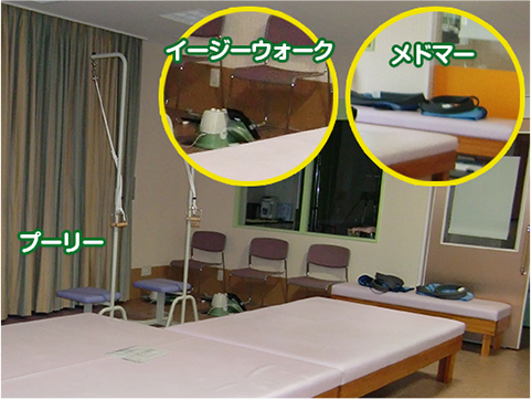 プーリー、イージウォーク、メドマー