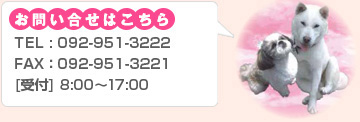 お問い合わせはこちらTEL:092-402-3222FAX:092-951-3221受付8:00～20:00不定休
