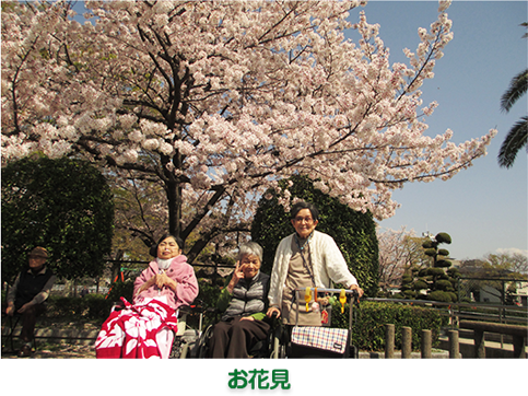 お花見