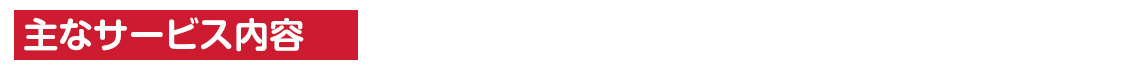 主なサービス内容　